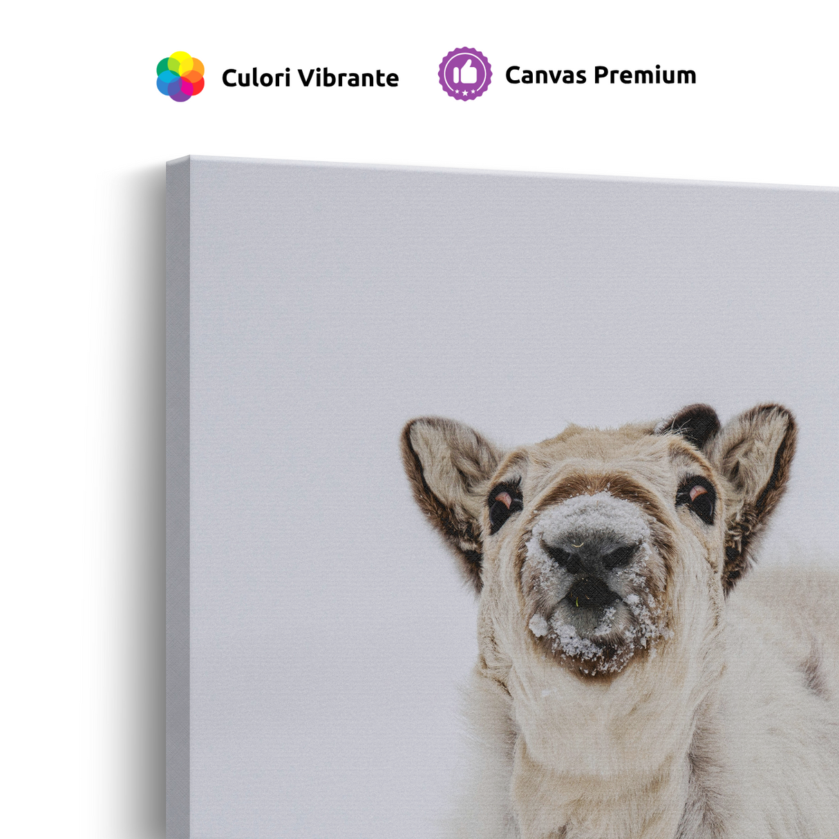 Tablou Canvas Ren în Atmosferă Polară, Compoziție Fotografică de Iarnă, Alb-Gri