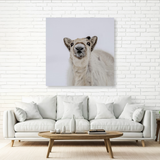 Tablou Canvas Ren în Atmosferă Polară, Compoziție Fotografică de Iarnă, Alb-Gri IPCVANI-343