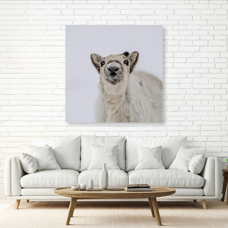 Tablou Canvas Ren în Atmosferă Polară, Compoziție Fotografică de Iarnă, Alb-Gri IPCVANI-343