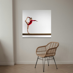Tablou Canvas Sport Gimnastica