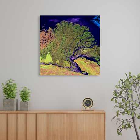 Tablou Canvas Structură Organică, Artă Modernă, Multicolor IPCVABS-447