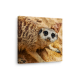 Tablou Canvas Suricată în Nisip, Compoziție Fotografică Naturală, Maro-Bej