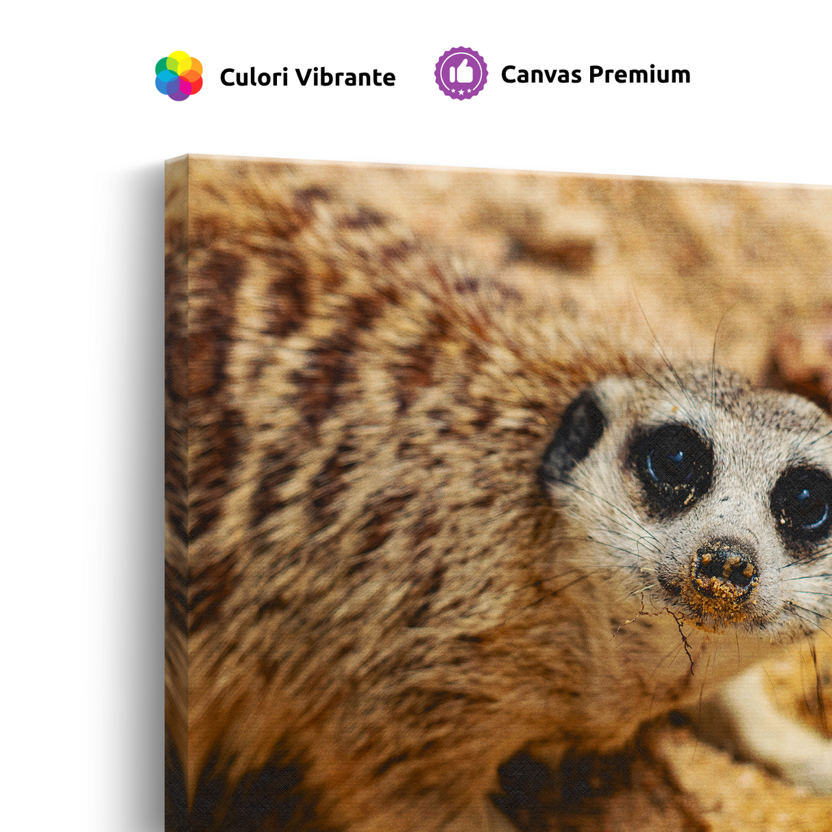 Tablou Canvas Suricată în Nisip, Compoziție Fotografică Naturală, Maro-Bej