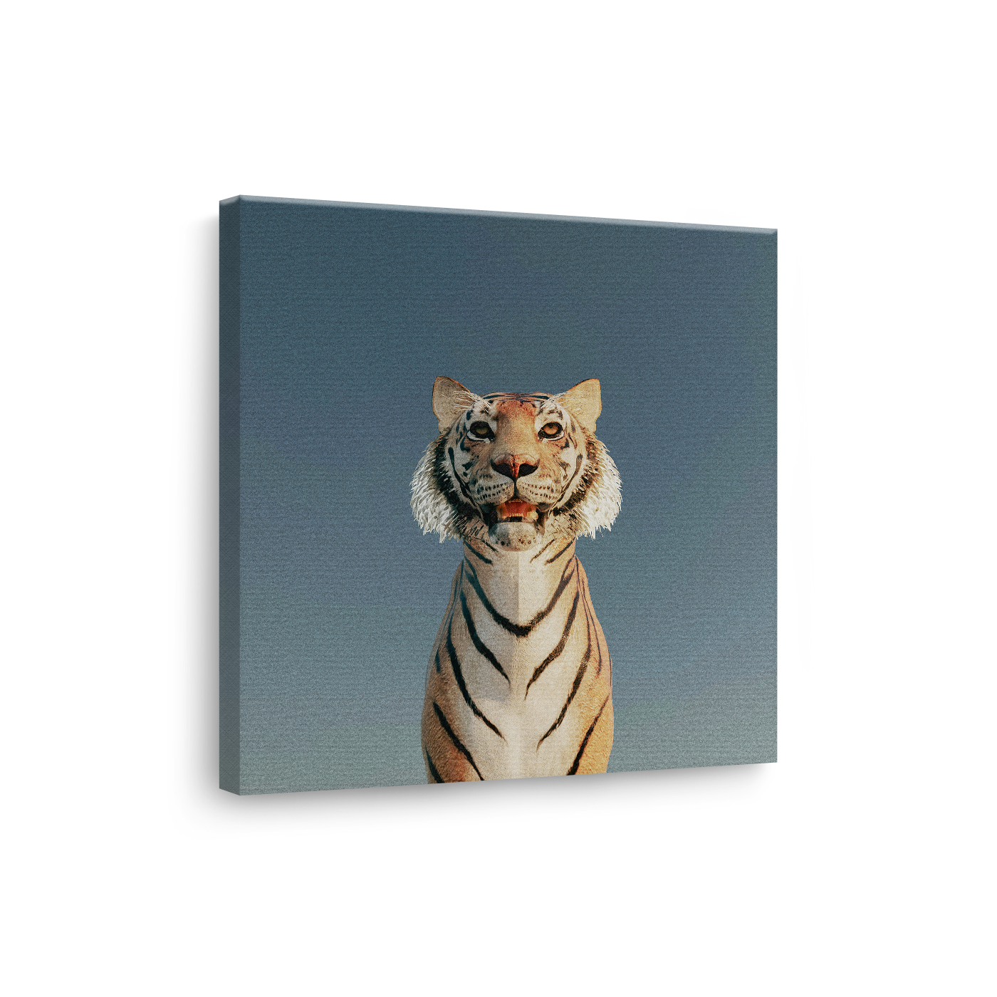 Tablou Canvas Tigru Alb în Lumină Caldă, Fotografie Artistică, Alb-Bej