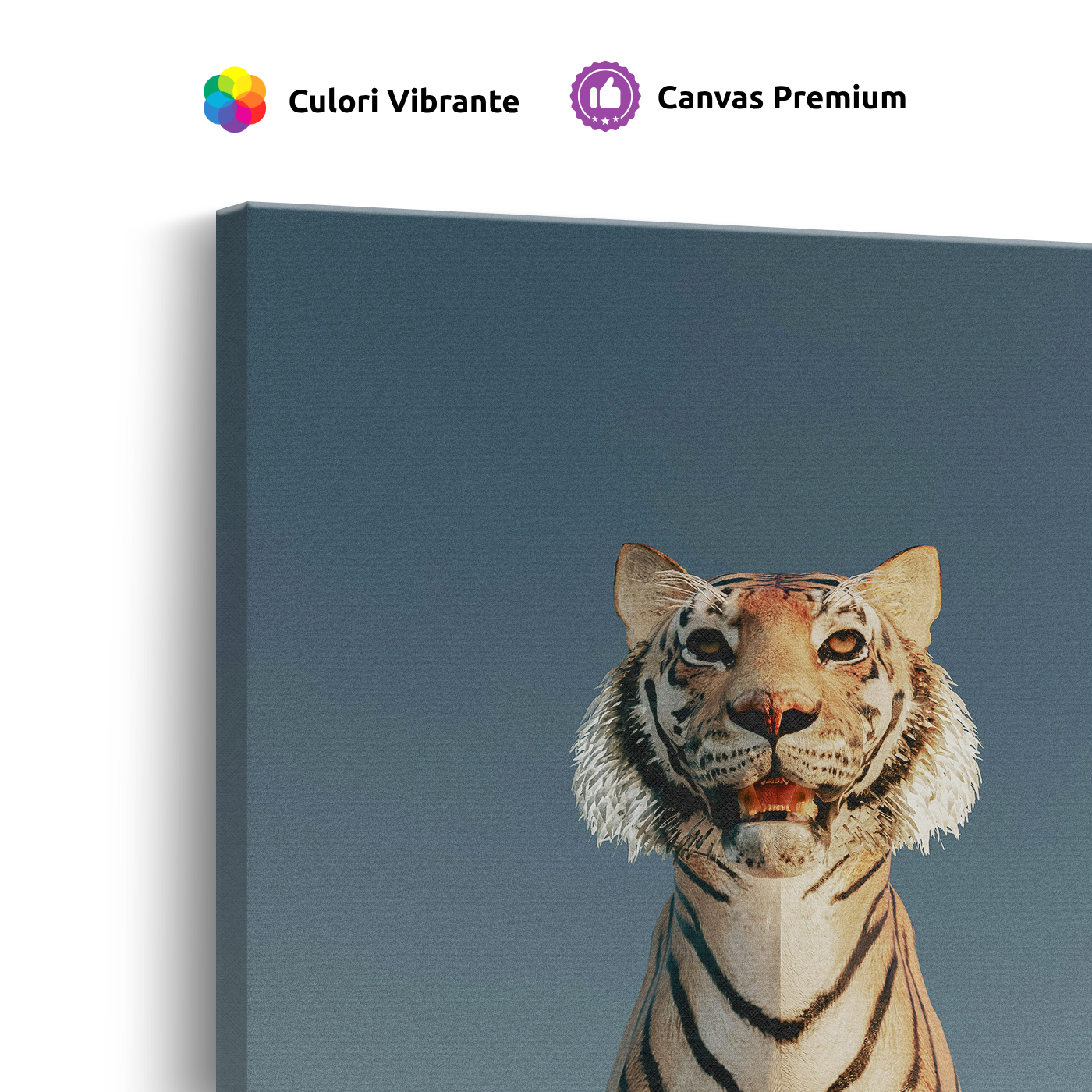 Tablou Canvas Tigru Alb în Lumină Caldă, Fotografie Artistică, Alb-Bej