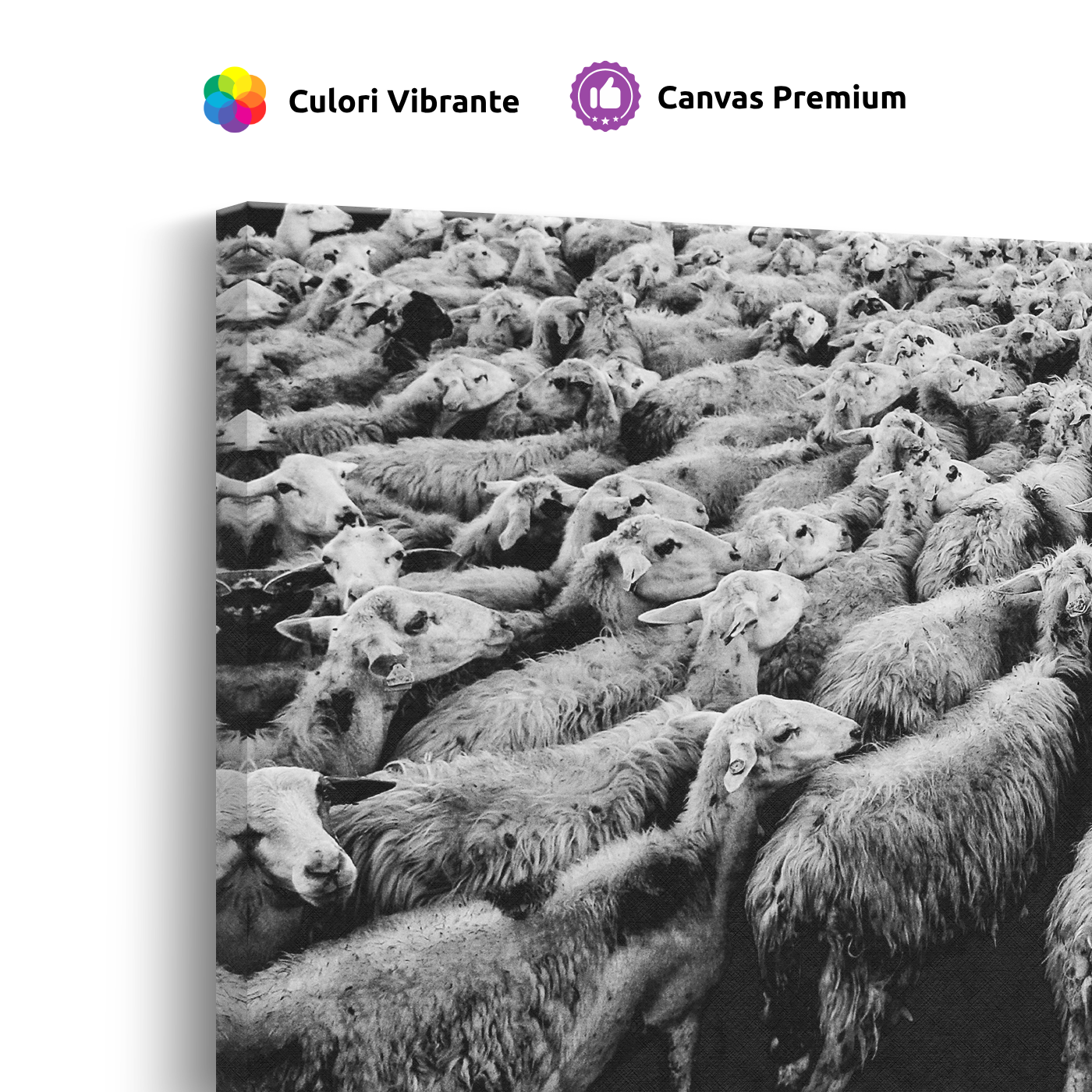 Tablou Canvas Turmă de Oi în Mișcare, Artă Fotografică Alb Negru