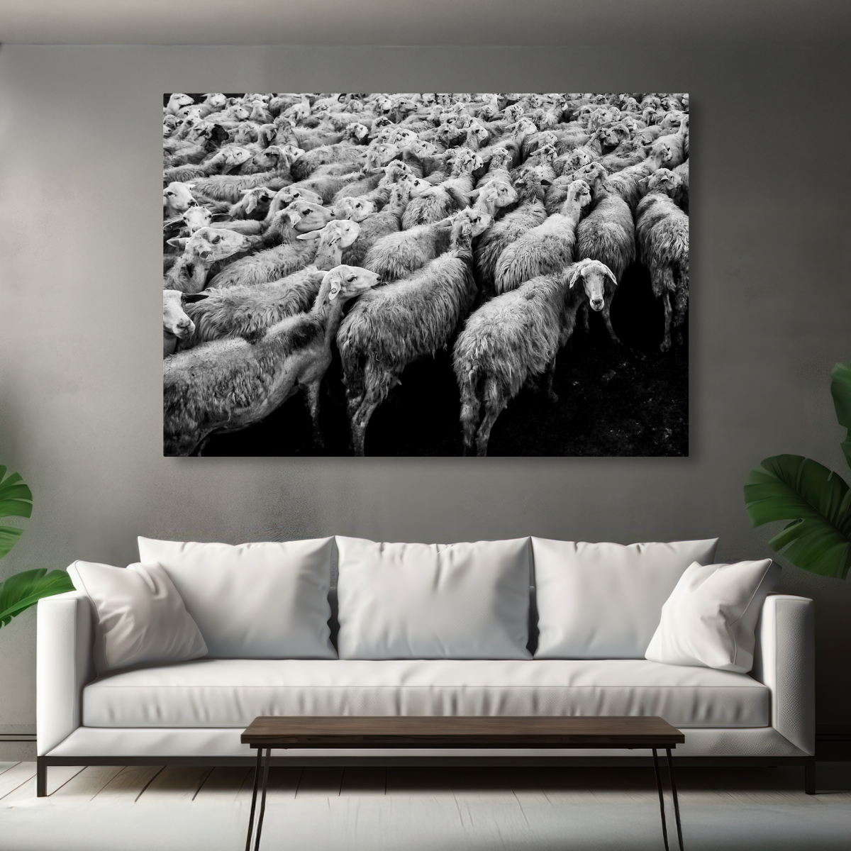 Tablou Canvas Turmă de Oi în Mișcare, Artă Fotografică Alb Negru IPCVANI-297