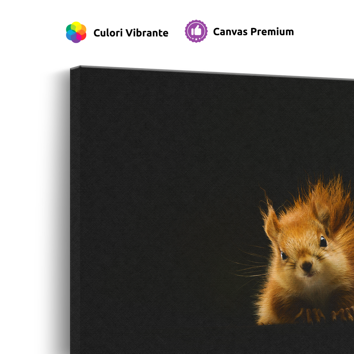 Tablou Canvas Veveriță Roșcată, Fotografie Artistică, Negru-Maro