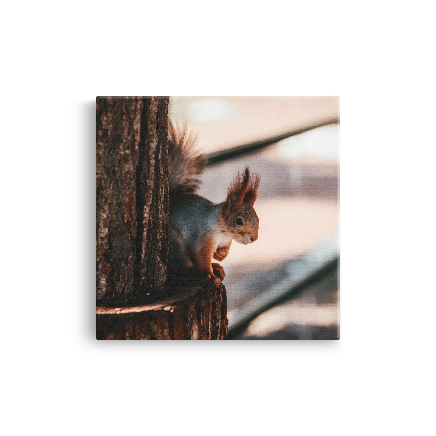 Tablou Canvas Veveriță în Cadru Forestier, Estetică Fotografică Naturală, Maro-Bej