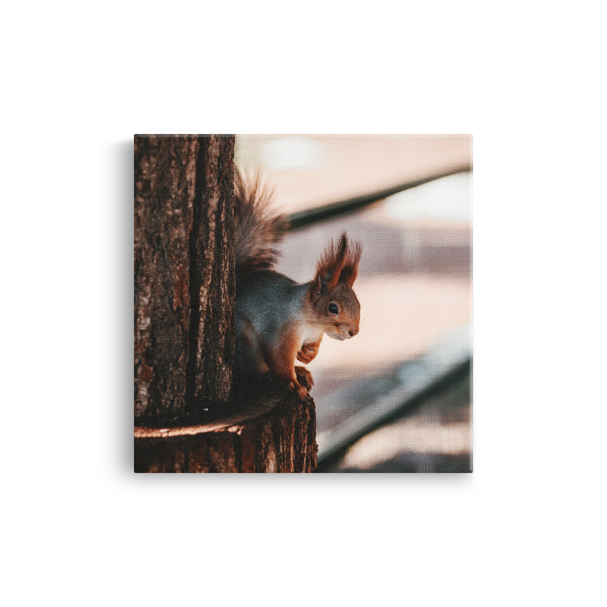 Tablou Canvas Veveriță în Cadru Forestier, Estetică Fotografică Naturală, Maro-Bej