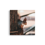 Tablou Canvas Veveriță în Cadru Forestier, Estetică Fotografică Naturală, Maro-Bej