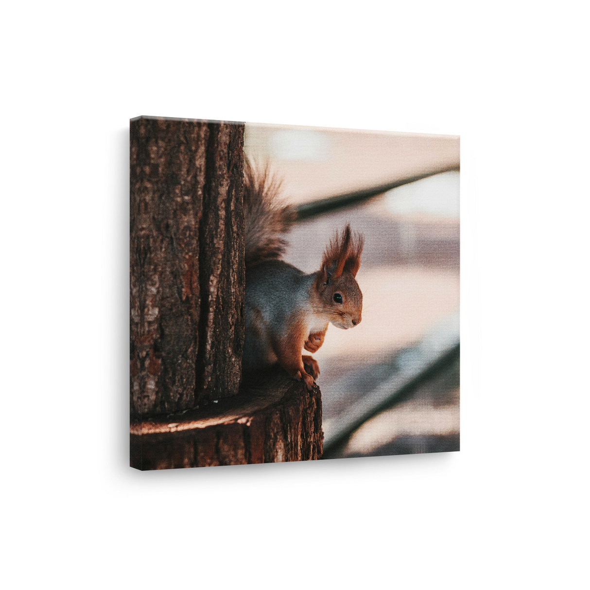 Tablou Canvas Veveriță în Cadru Forestier, Estetică Fotografică Naturală, Maro-Bej