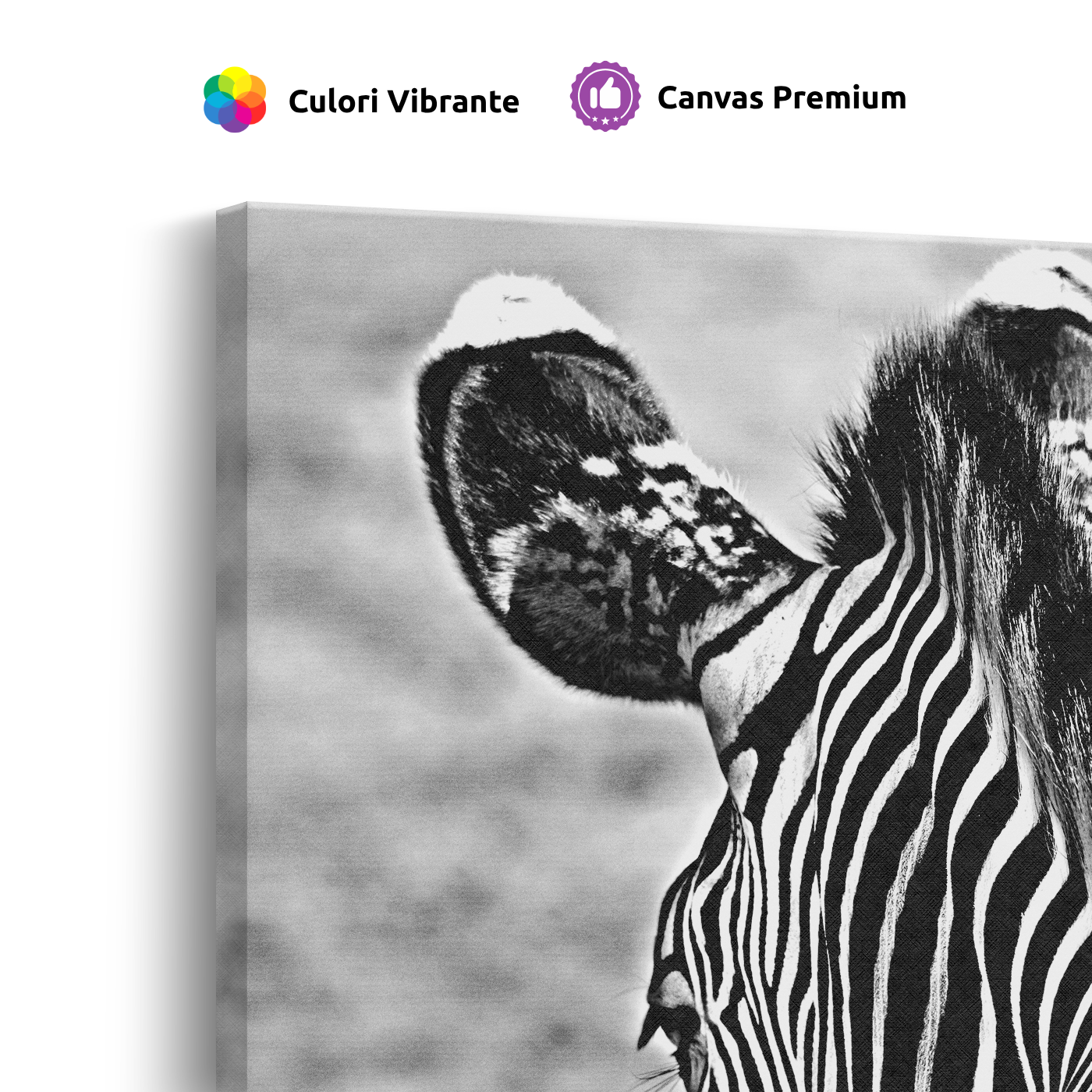 Tablou Canvas Zebră în Fotografie Artistică Alb-Negru - IPCVBW-553-4