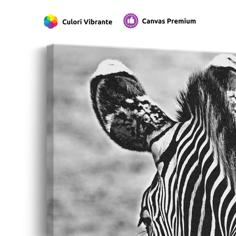 Tablou Canvas Zebră în Fotografie Artistică Alb-Negru - IPCVBW-553-4