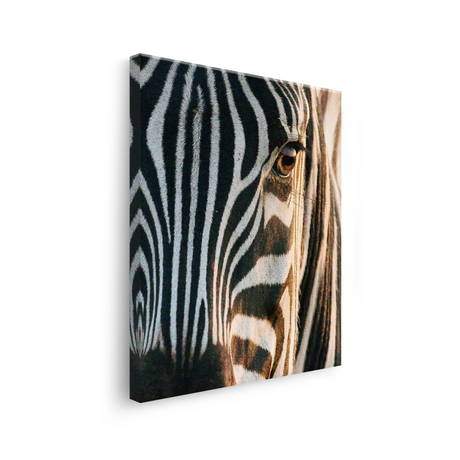Tablou Canvas Zebră în Lumină Caldă, Fotografie Artistică, Alb-Negru