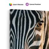 Tablou Canvas Zebră în Lumină Caldă, Fotografie Artistică, Alb-Negru