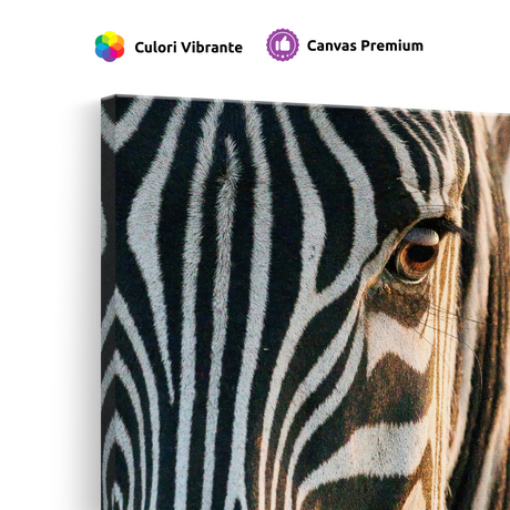 Tablou Canvas Zebră în Lumină Caldă, Fotografie Artistică, Alb-Negru