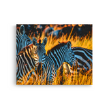 Tablou Canvas Zebre în Savana Africană, Wildlife Natural, Galben-Verde